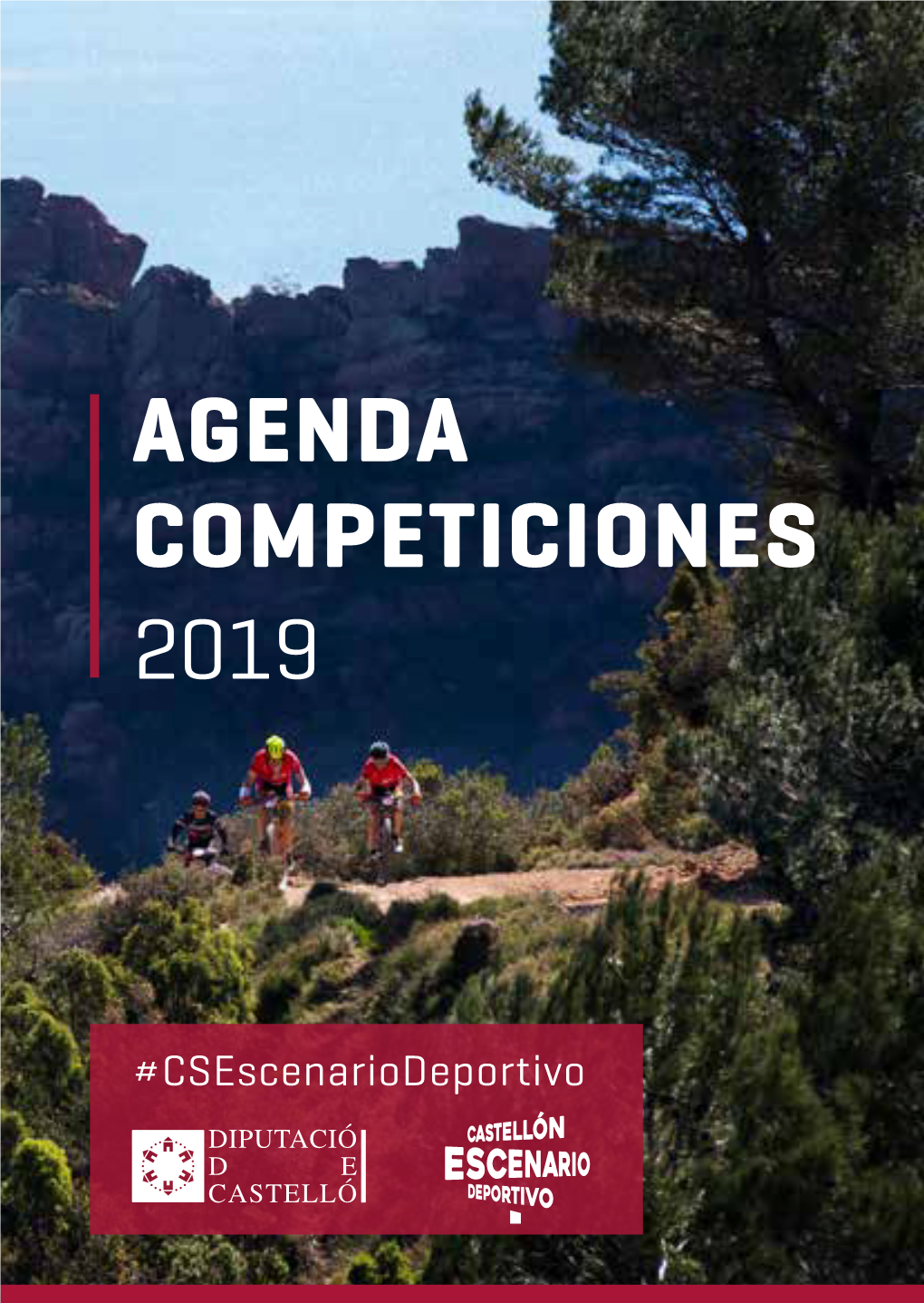 Agenda Competiciones 2019