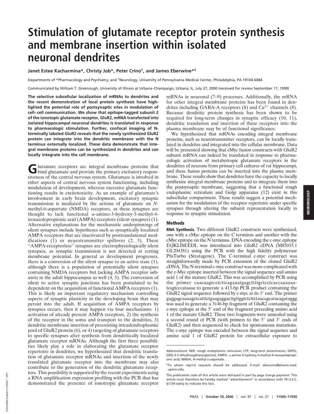 Stimulation of Glutamate Receptor Protein Synthesis and Membrane Insertion Within Isolated Neuronal Dendrites