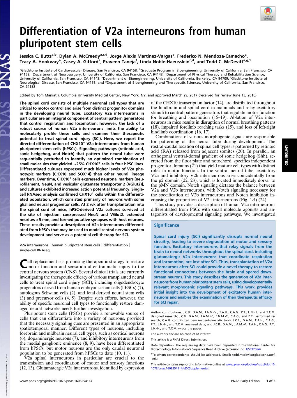 Differentiation of V2a Interneurons from Human Pluripotent Stem Cells