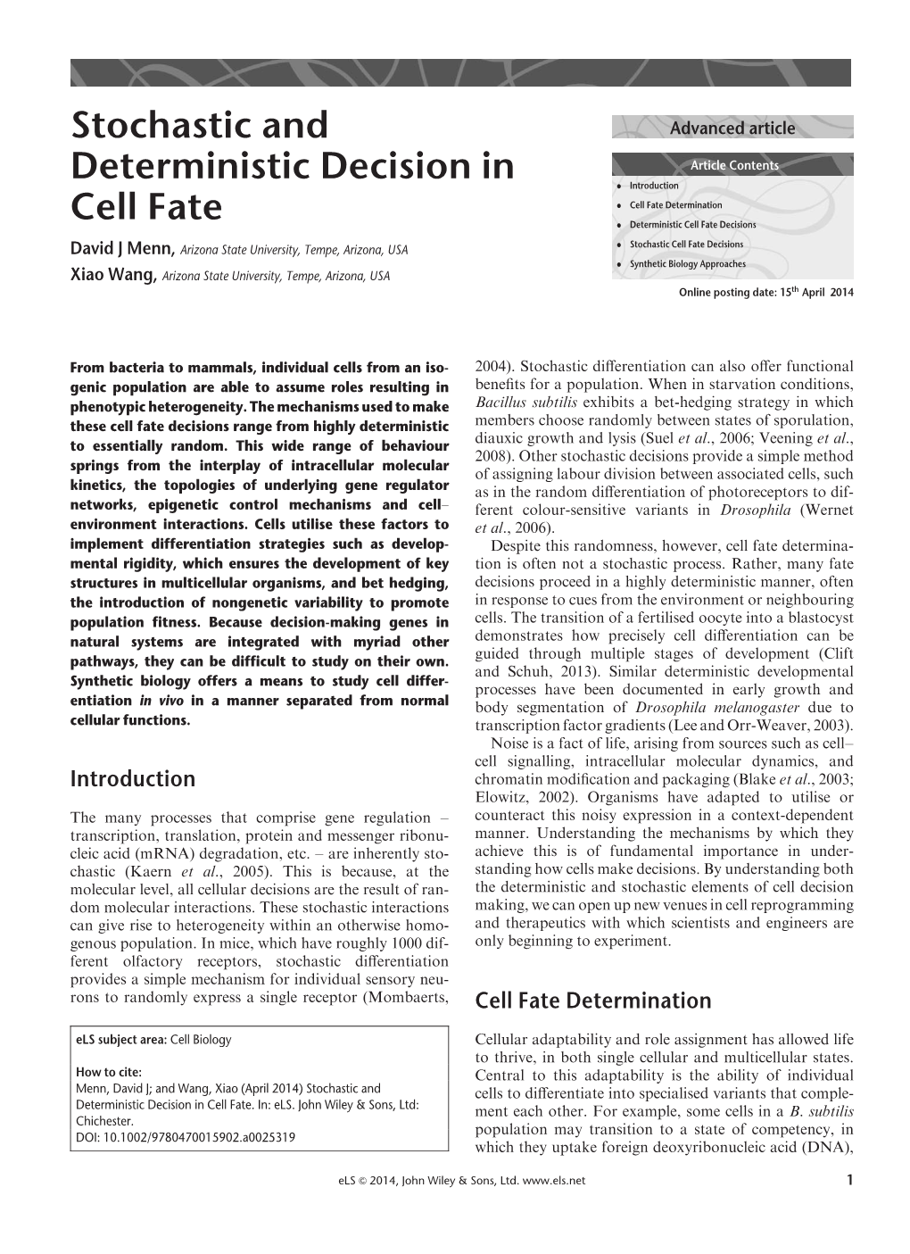 "Stochastic and Deterministic Decision in Cell Fate"