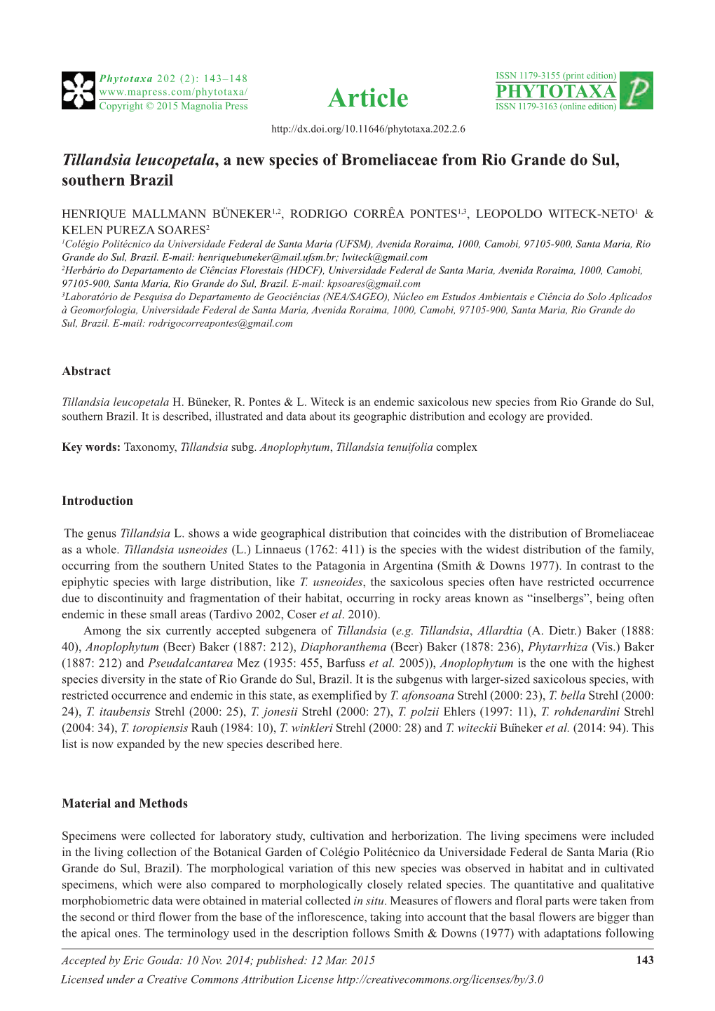 Tillandsia Leucopetala, a New Species of Bromeliaceae from Rio Grande Do Sul, Southern Brazil