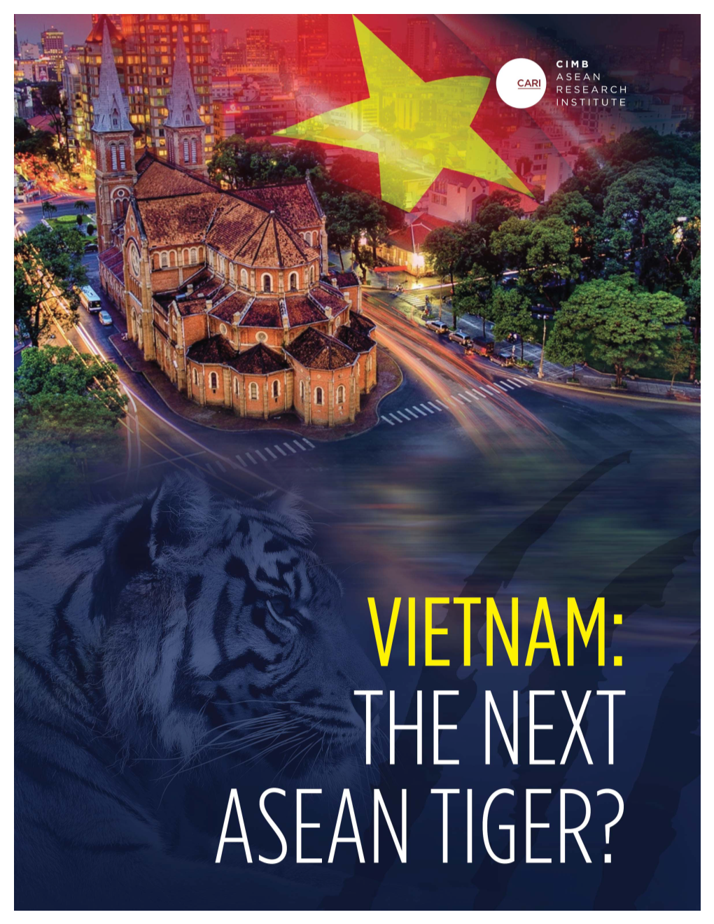Vietnam: the Next ASEAN Tiger
