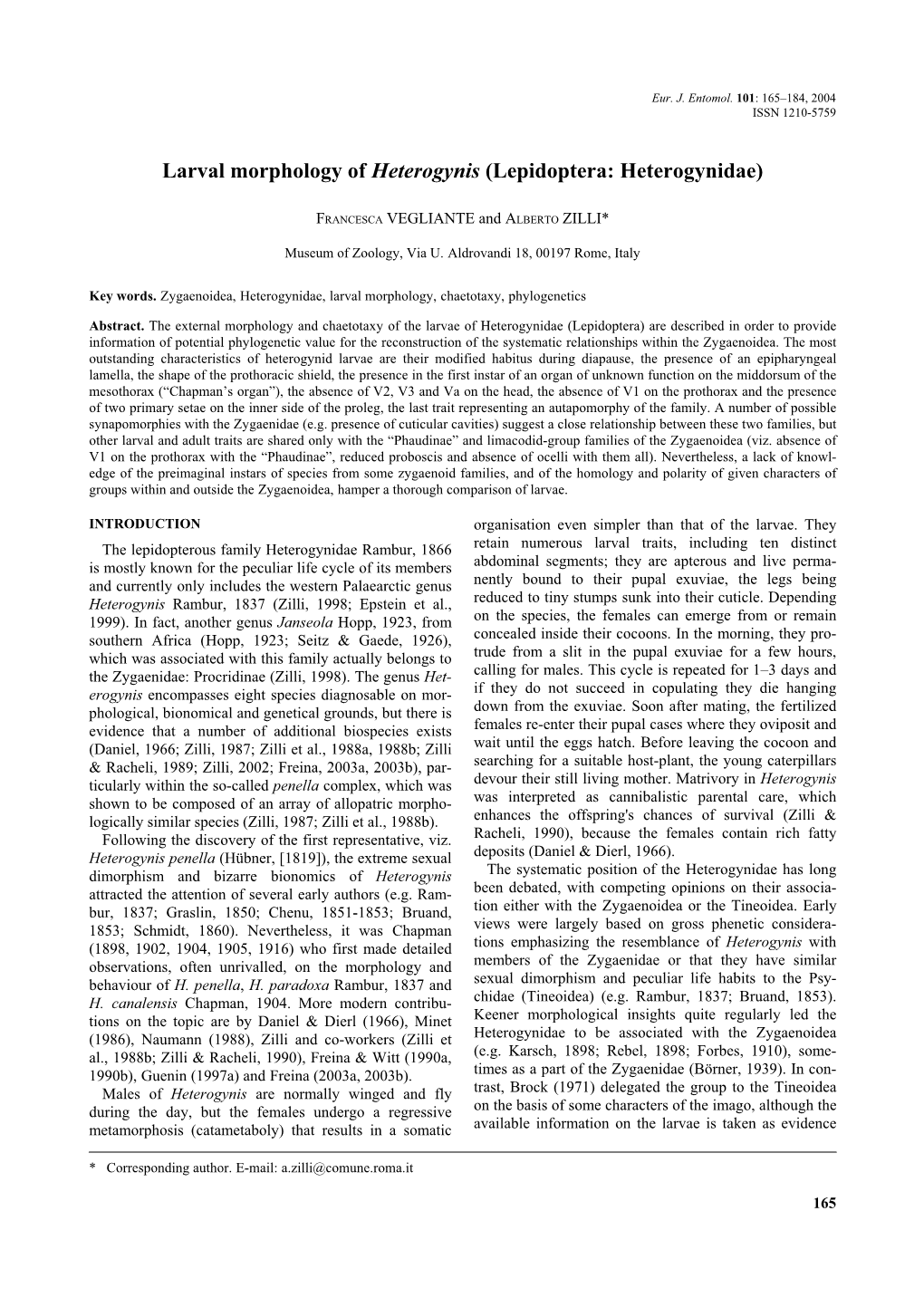 Larval Morphology of Heterogynis (Lepidoptera: Heterogynidae)