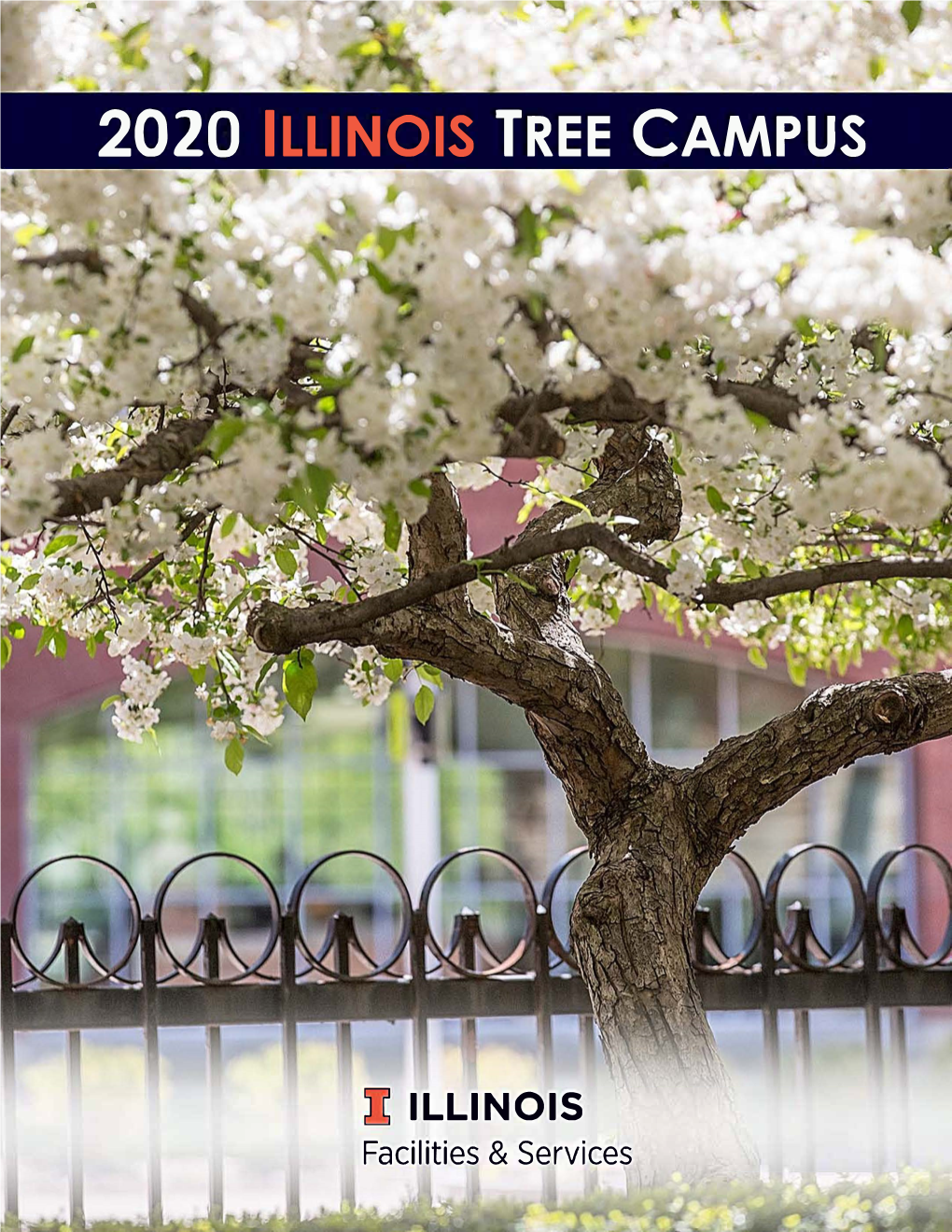 2020 Illinois Tree Campus