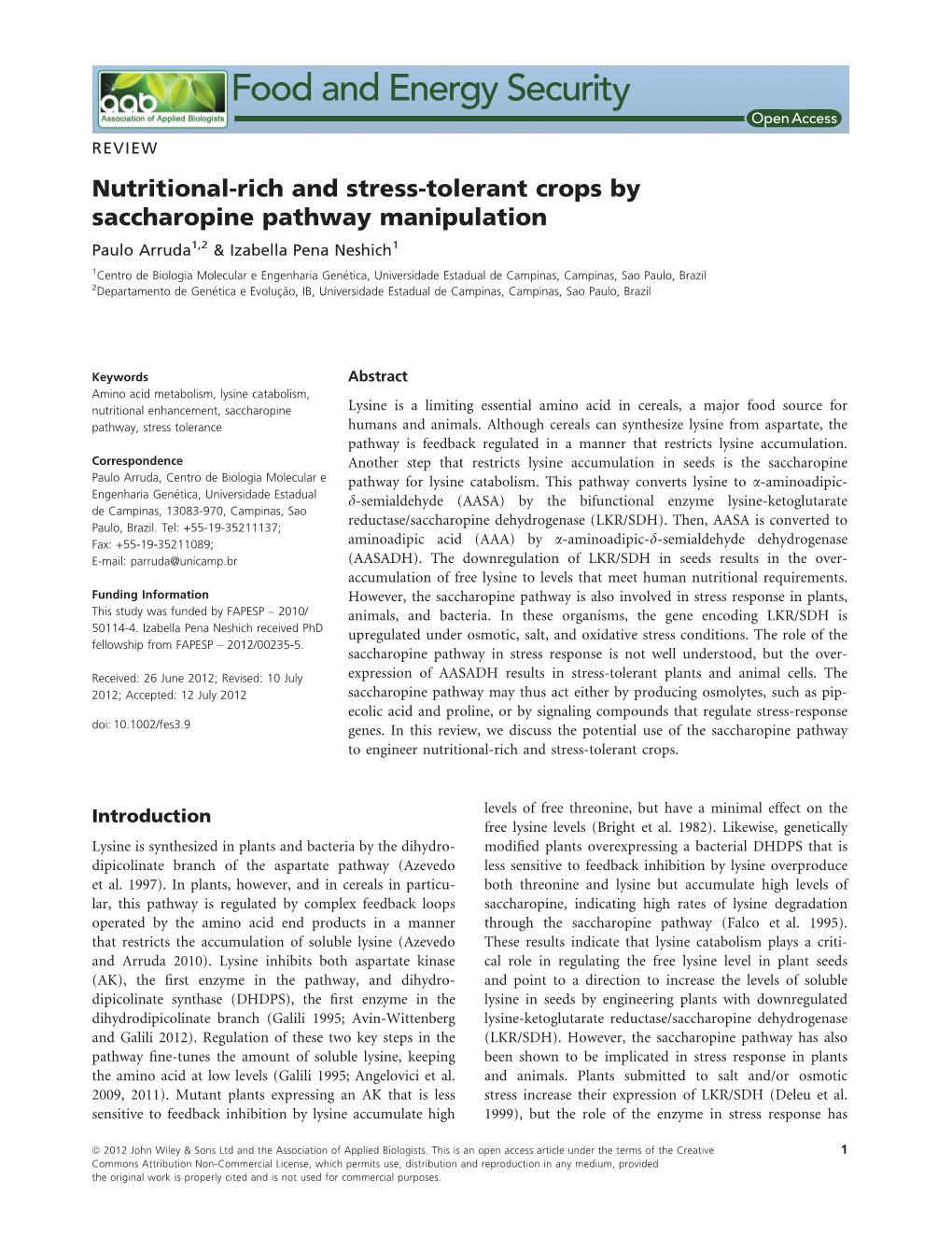 Nutritionalrich and Stresstolerant Crops by Saccharopine Pathway Manipulation