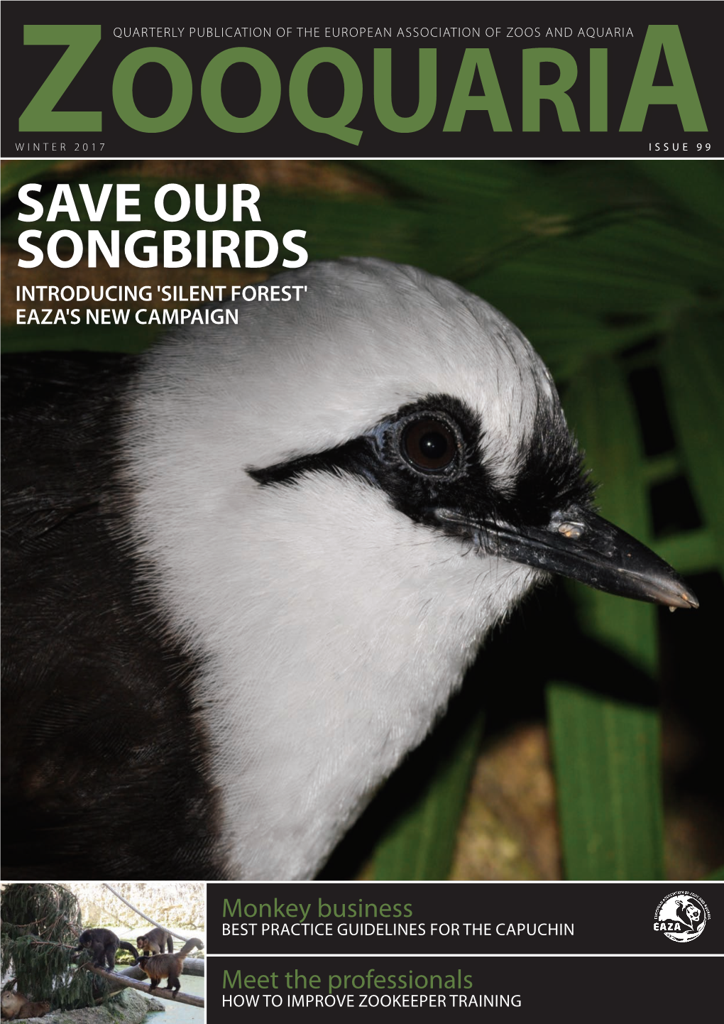 Save Our Songbirds Introducing 'Silent Forest' Eaza's New Campaign