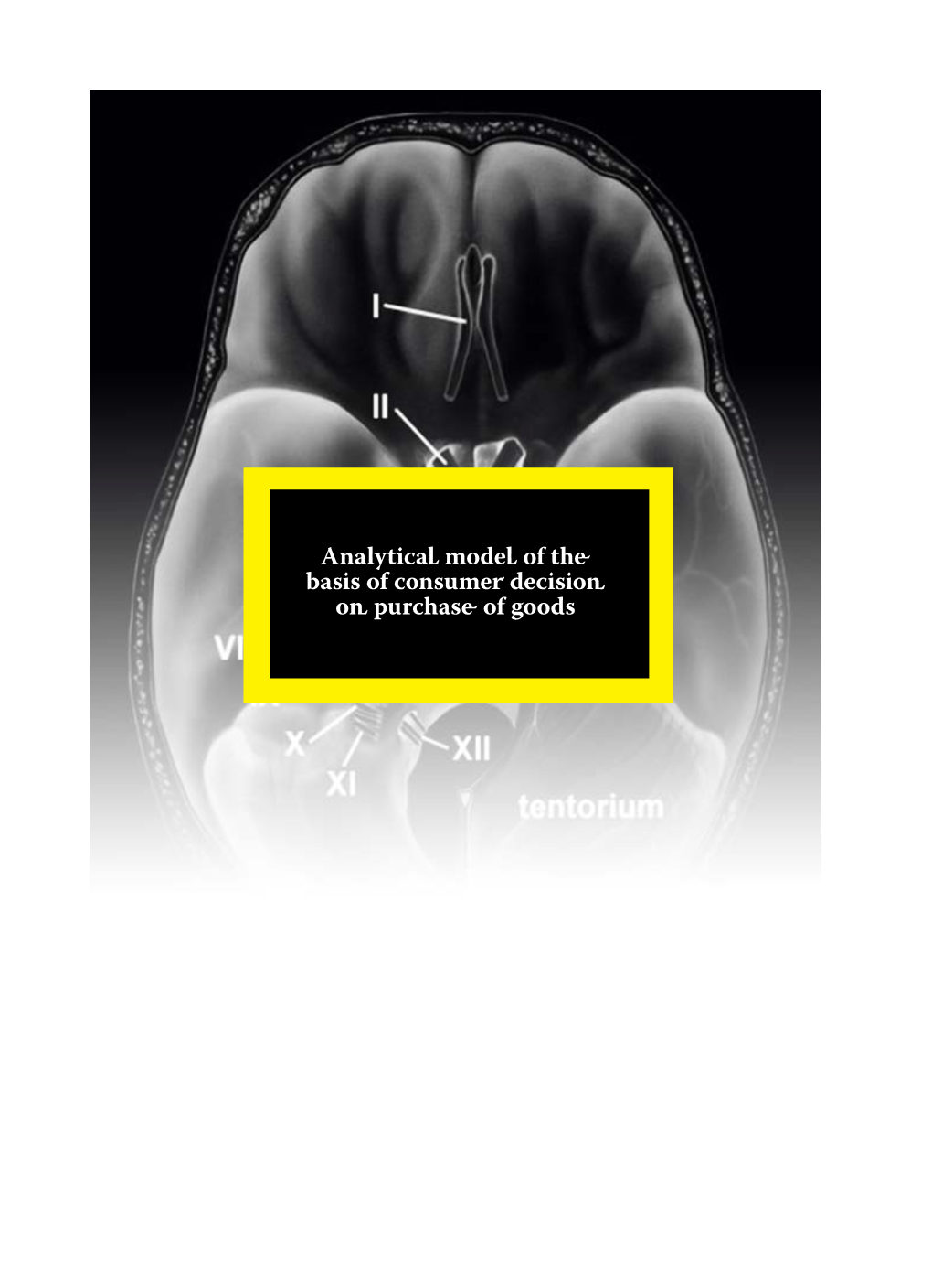 Analytical Model of the Basis of Consumer Decision on Purchase of Goods 187