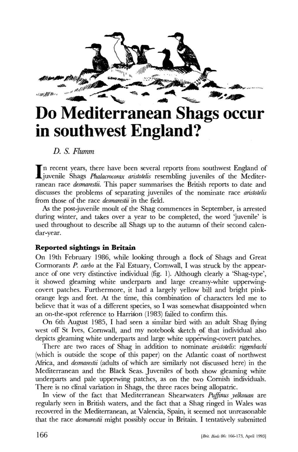 Do Mediterranean Shags Occur in Southwest England? D