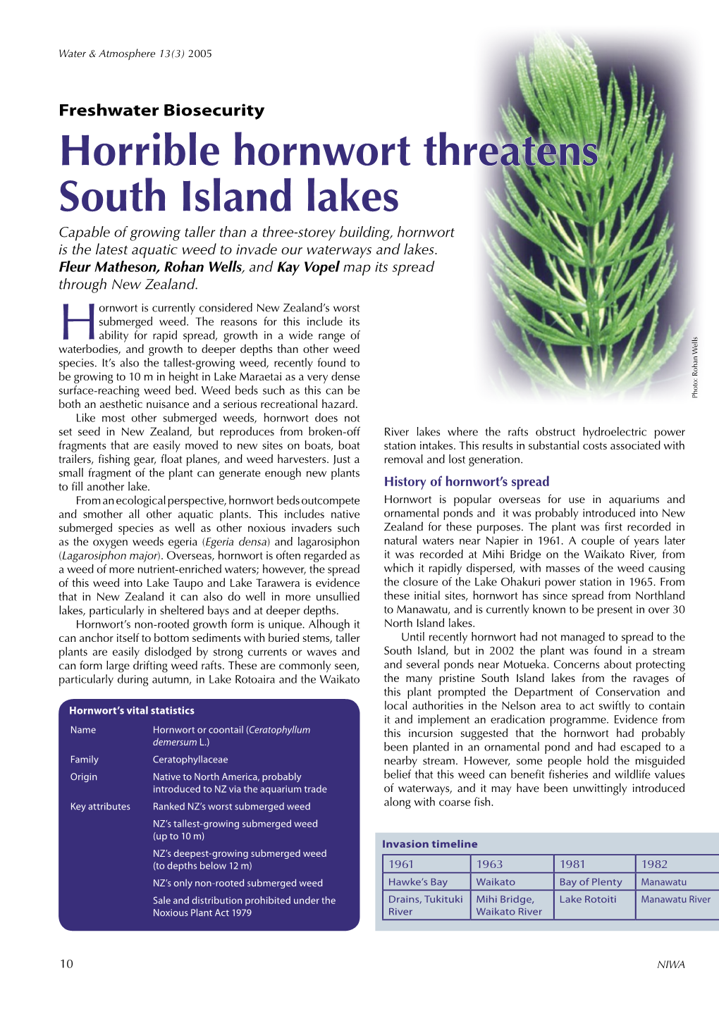 Horrible Hornwort Threatens South Island Lakes