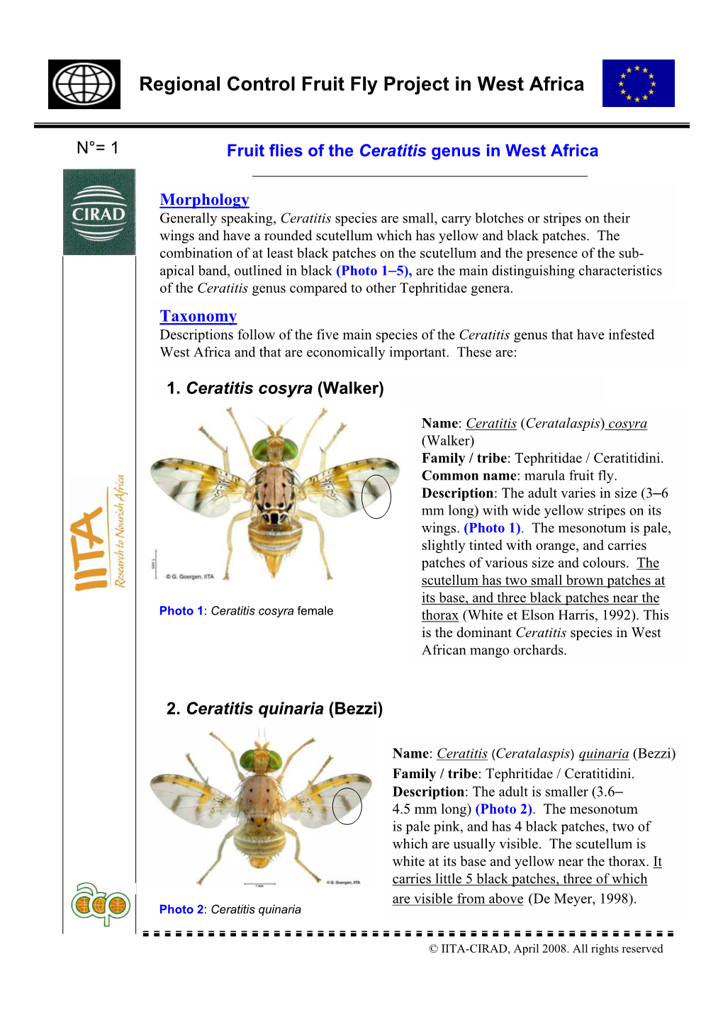 Regional Control Fruit Fly Project in West Africa