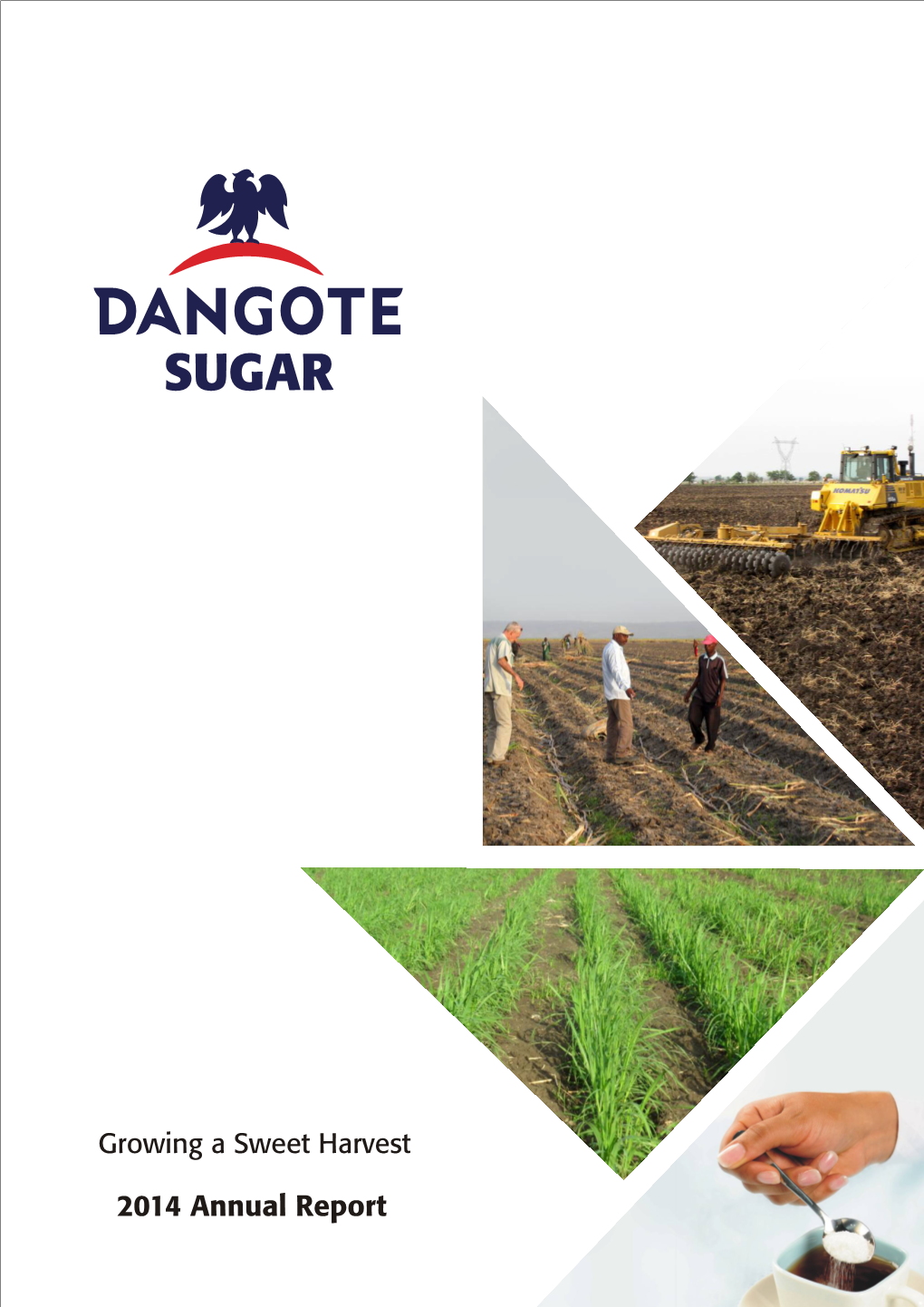 2014-Dangote-SUGAR-AR-FA.Pdf