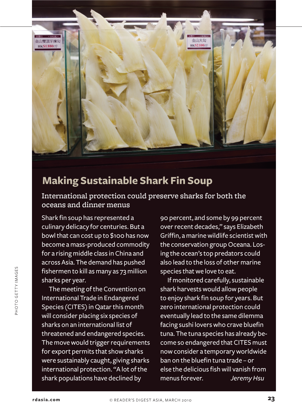 Making Sustainable Shark Fin Soup