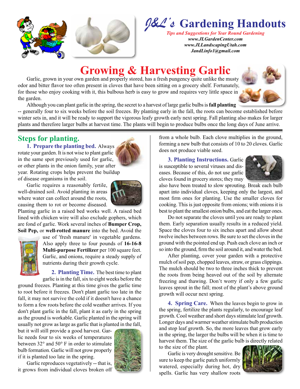 Growing & Harvesting Garlic J&L's Gardening Handouts