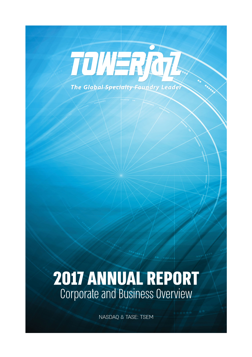 2017 ANNUAL REPORT Corporate and Business Overview