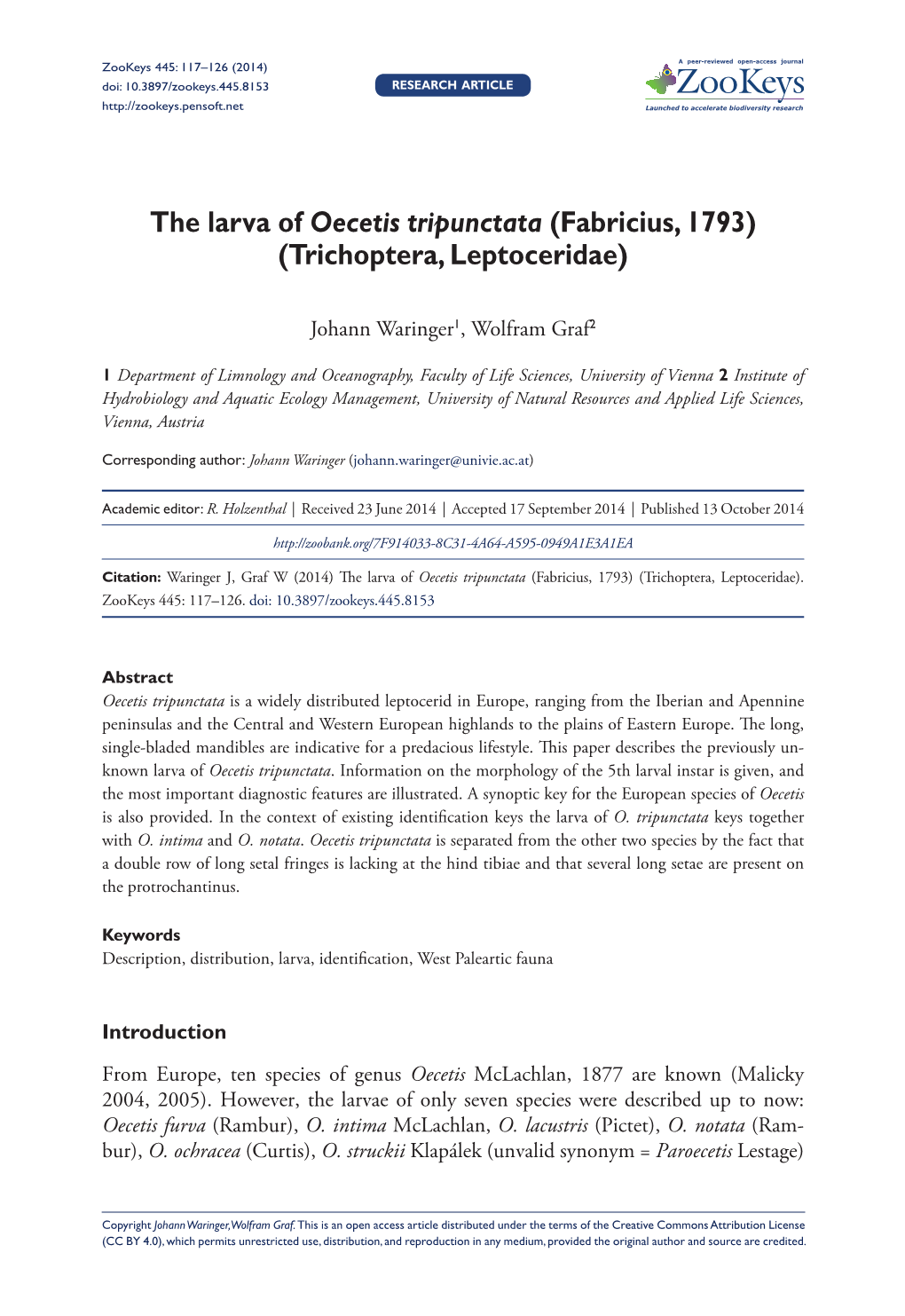 The Larva of Oecetis Tripunctata (Fabricius, 1793) (Trichoptera, Leptoceridae)