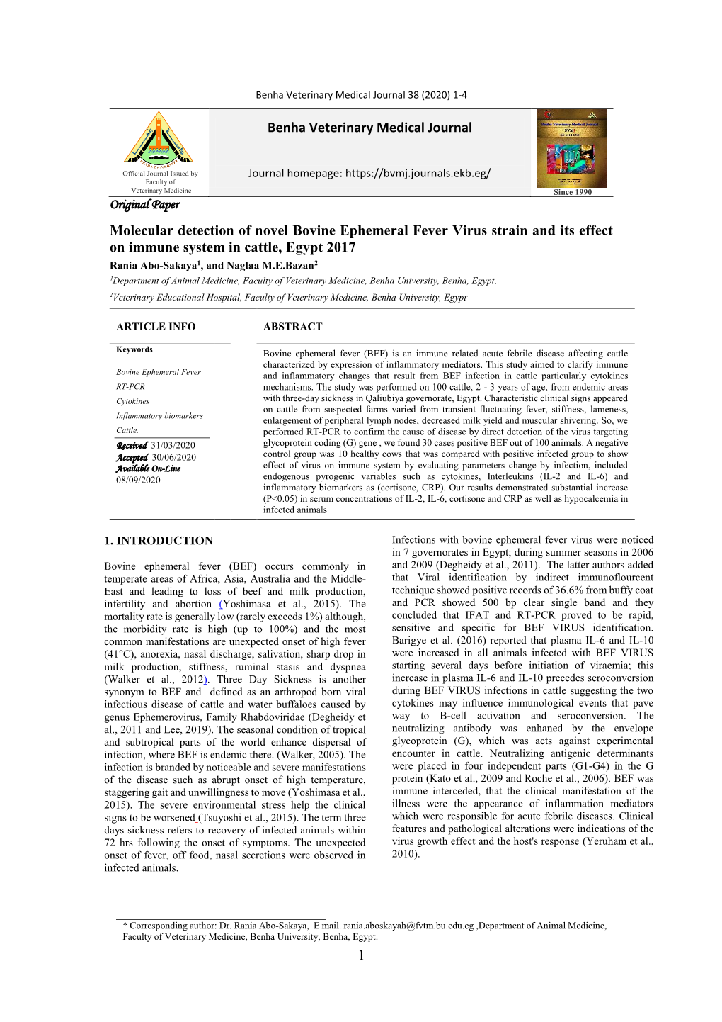 1 Benha Veterinary Medical Journal Molecular Detection of Novel Bovine