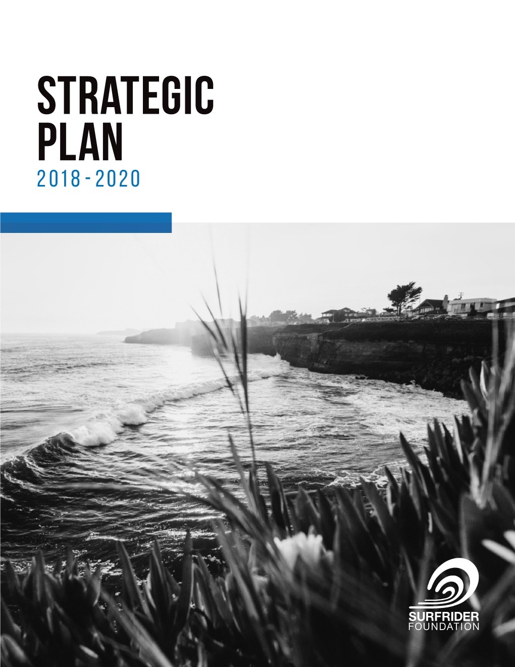 Strategic Plan 2018-2020
