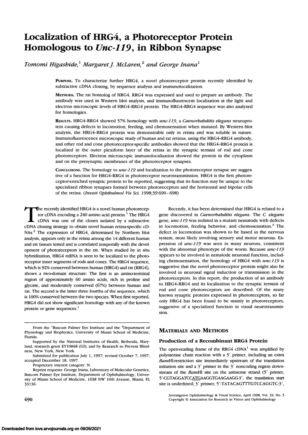 Localization of HRG4, a Photoreceptor Protein Homologous to Unc-119, in Ribbon Synapse