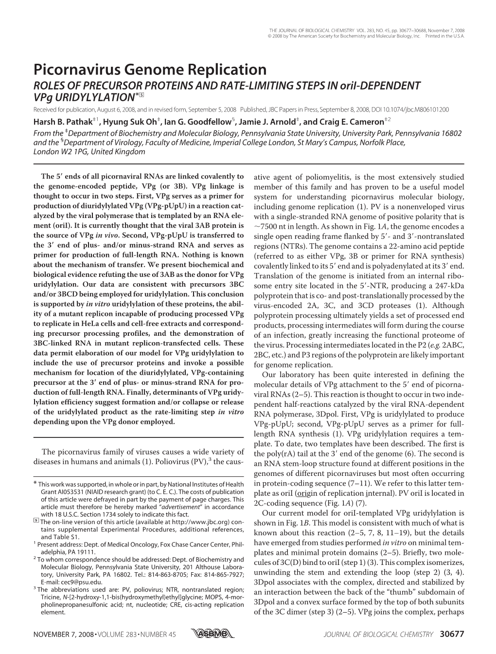 Picornavirus Genome Replication