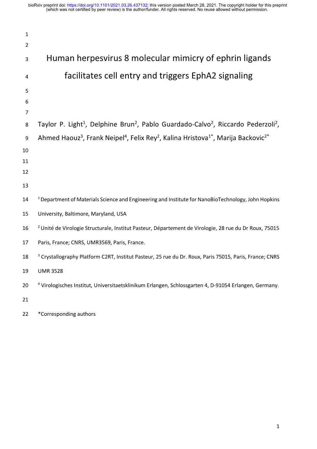 Human Herpesvirus 8 Molecular Mimicry of Ephrin Ligands