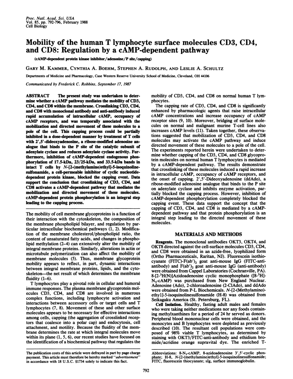 Mobility of the Human T Lymphocyte Surface Molecules CD3