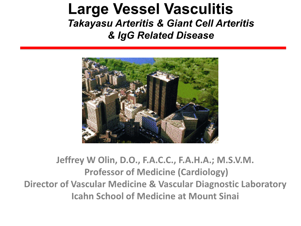 Large Vessel Vasculitis: Takayasu Arteritis, Giant Cell Arteritis and Igg-Related