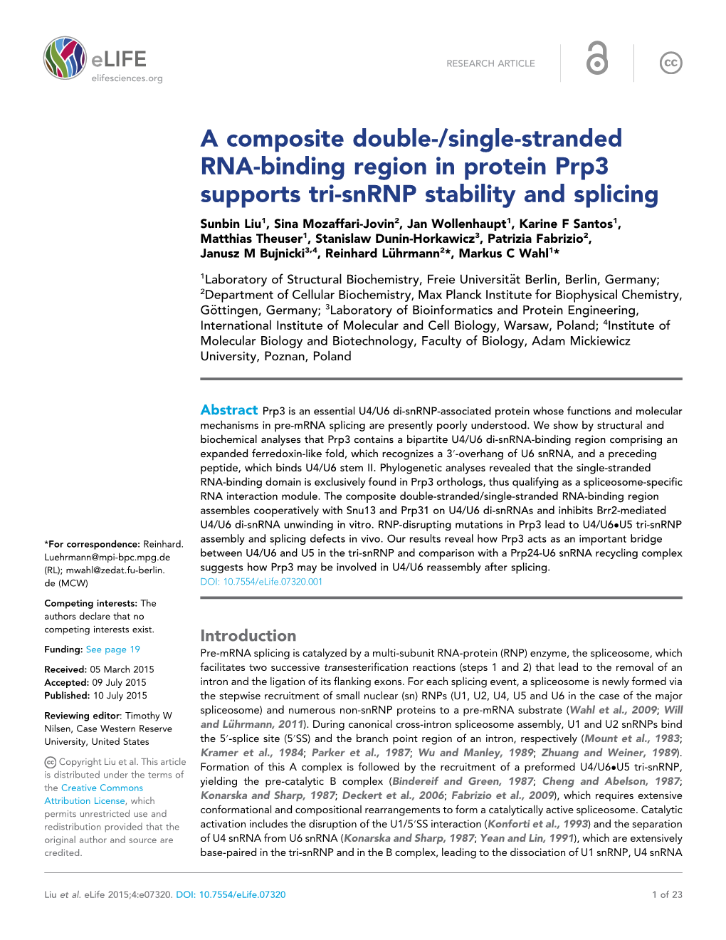 A Composite Double-/Single-Stranded RNA-Binding Region in Protein Prp3