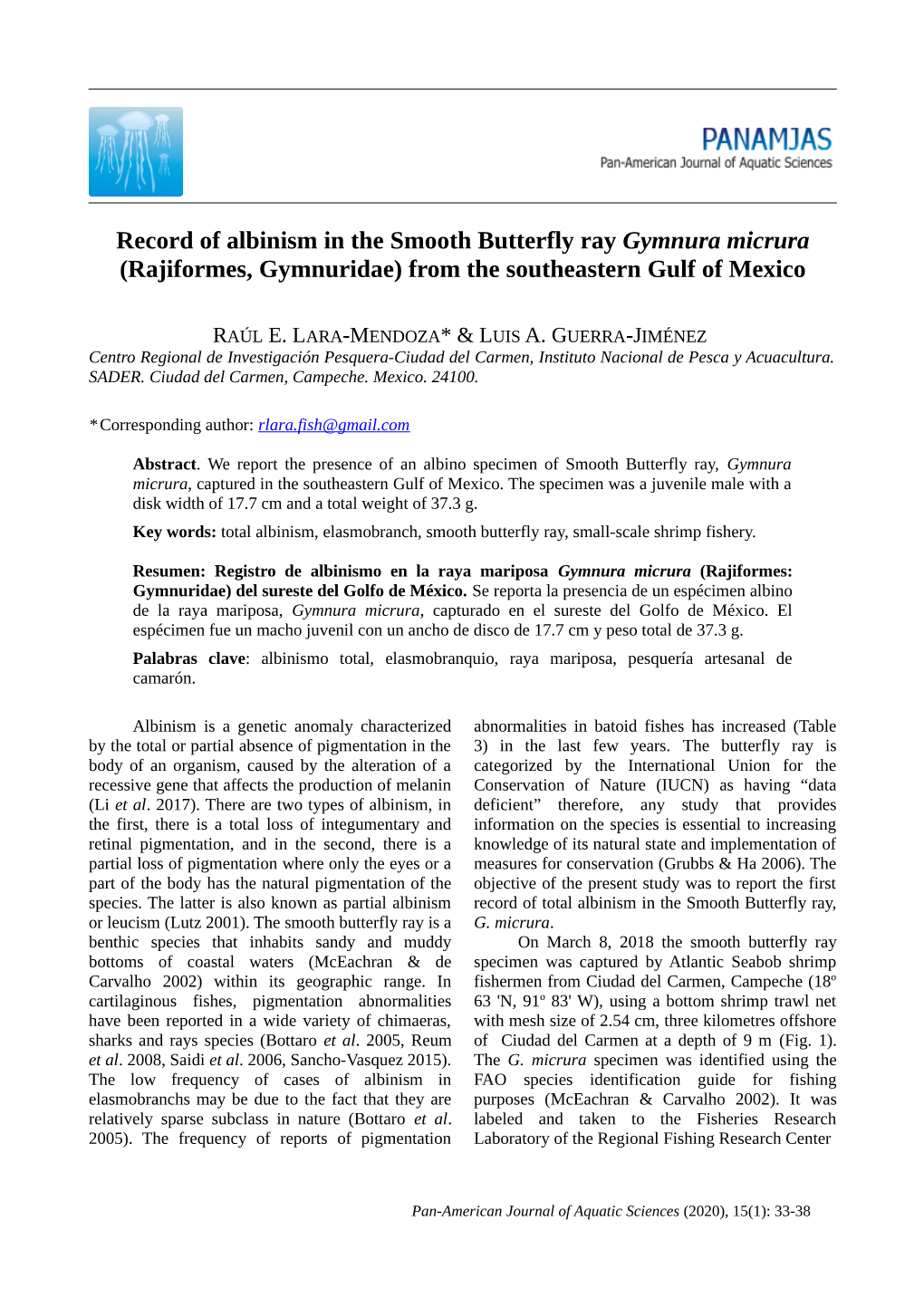 Record of Albinism in the Smooth Butterfly Ray Gymnura Micrura (Rajiformes, Gymnuridae) from the Southeastern Gulf of Mexico