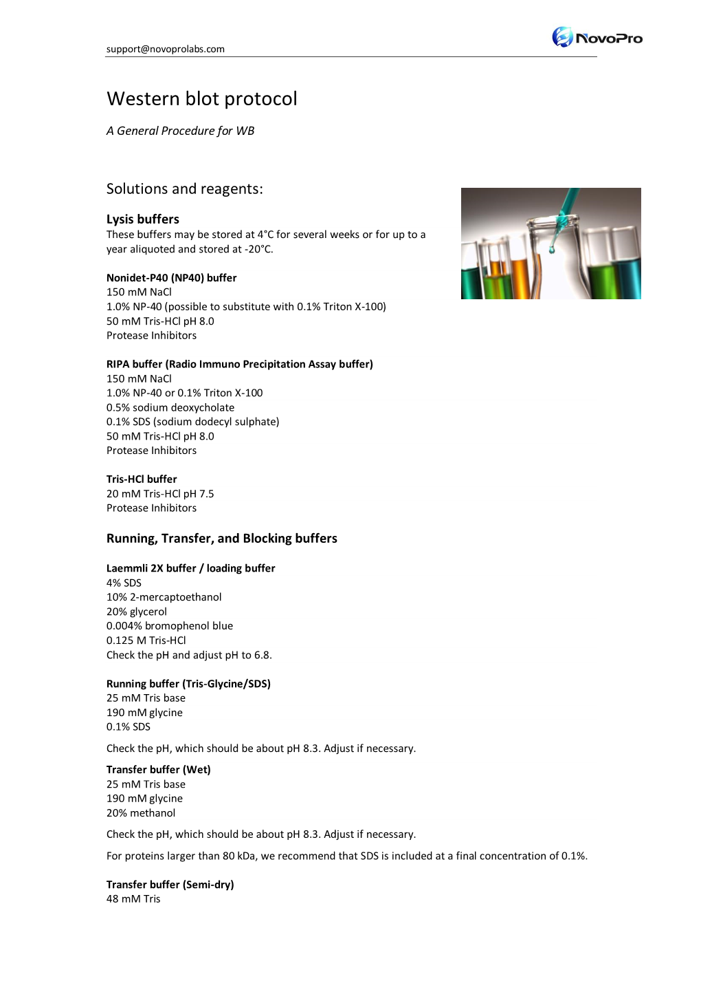 Western Blot Protocol