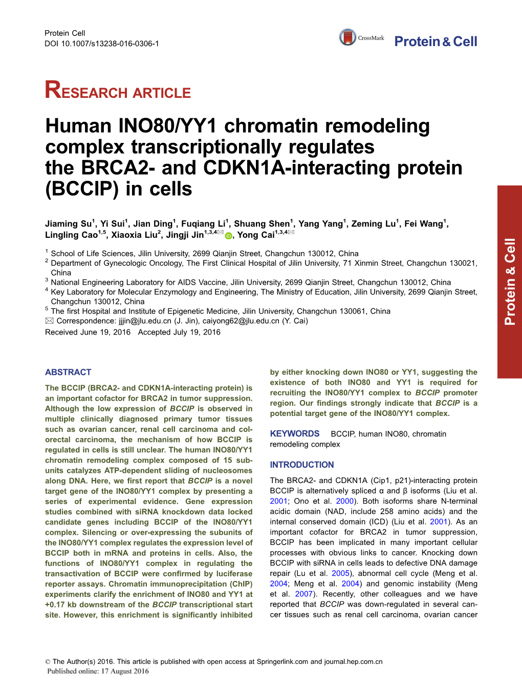 And CDKN1A-Interacting Protein (BCCIP) in Cells