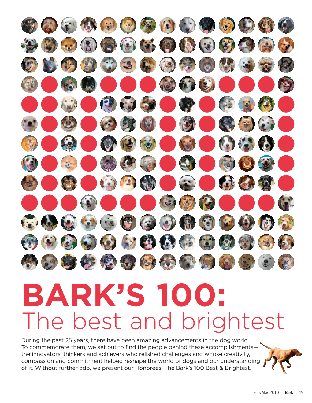 Bark's 100 Best & Brightest