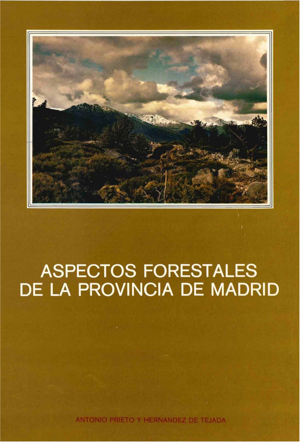 BVCM000024 Aspectos Forestales De La Provincia De Madrid