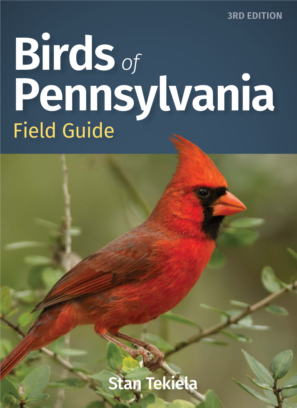 Birdsof Pennsylvania