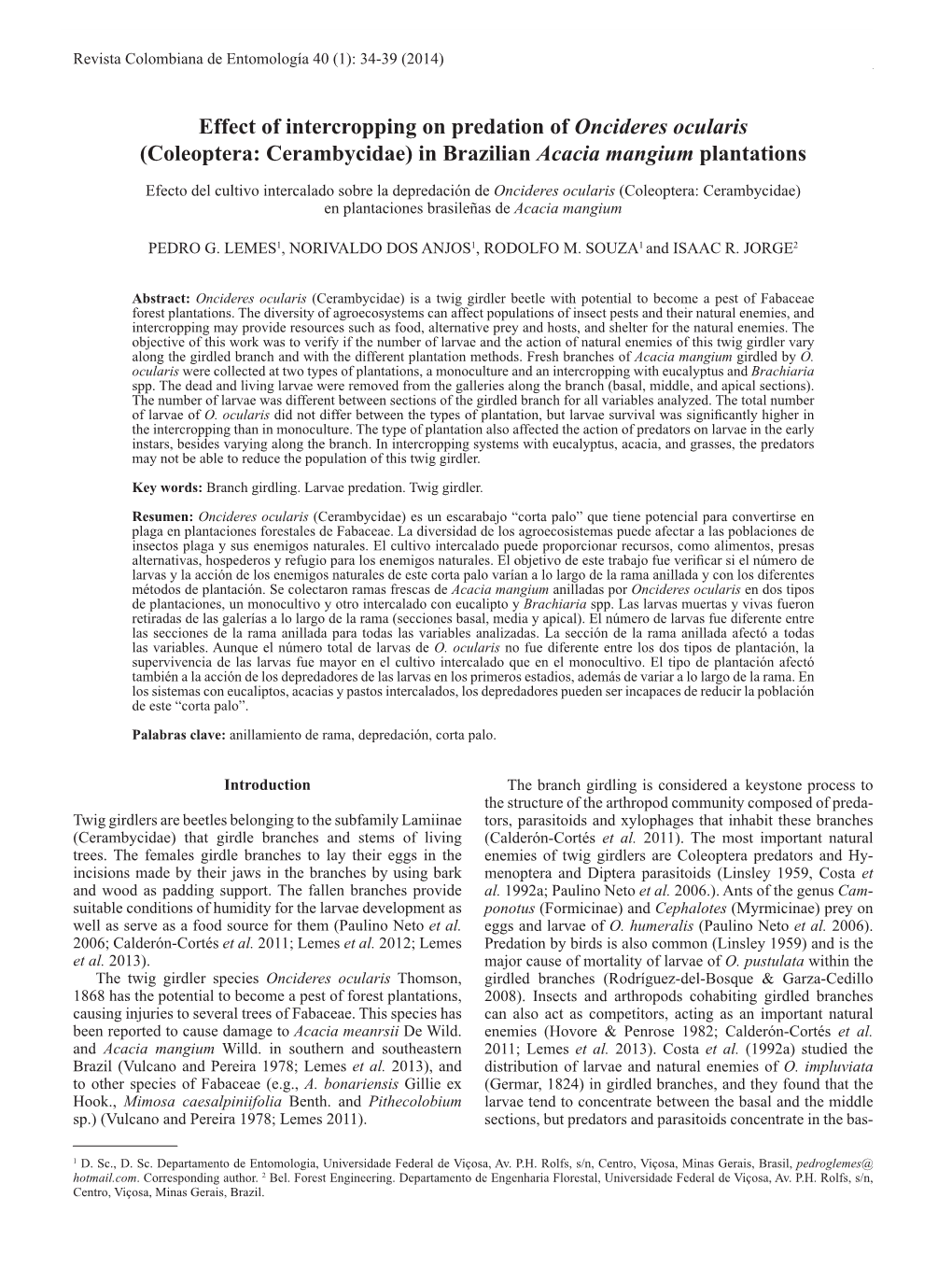 Effect of Intercropping on Predation of Oncideres Ocularis (Coleoptera: Cerambycidae) in Brazilian Acacia Mangium Plantations