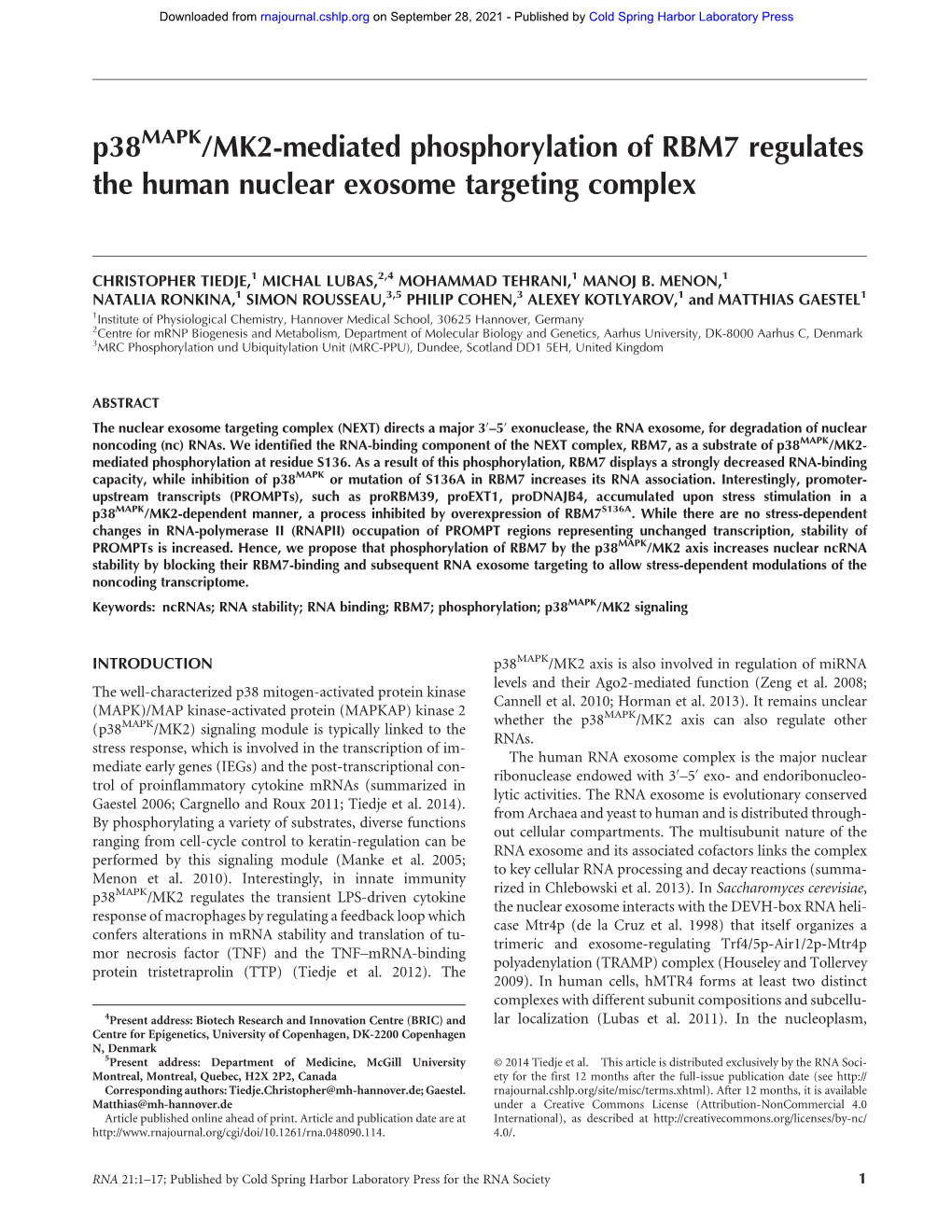 P38 /MK2-Mediated Phosphorylation of RBM7 Regulates the Human Nuclear Exosome Targeting Complex