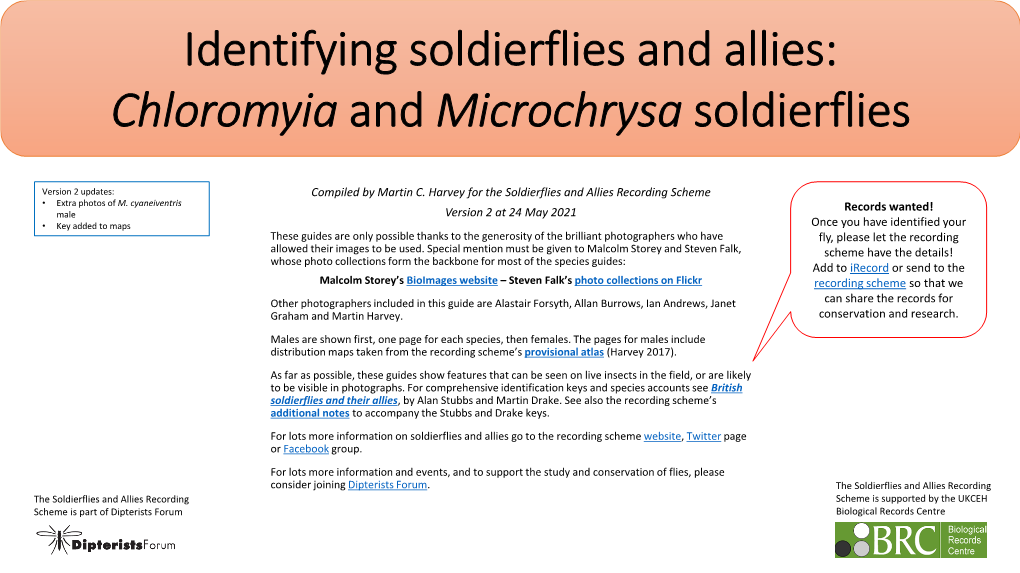 Soldierflies in Genus Chloromyia and Microchrysa