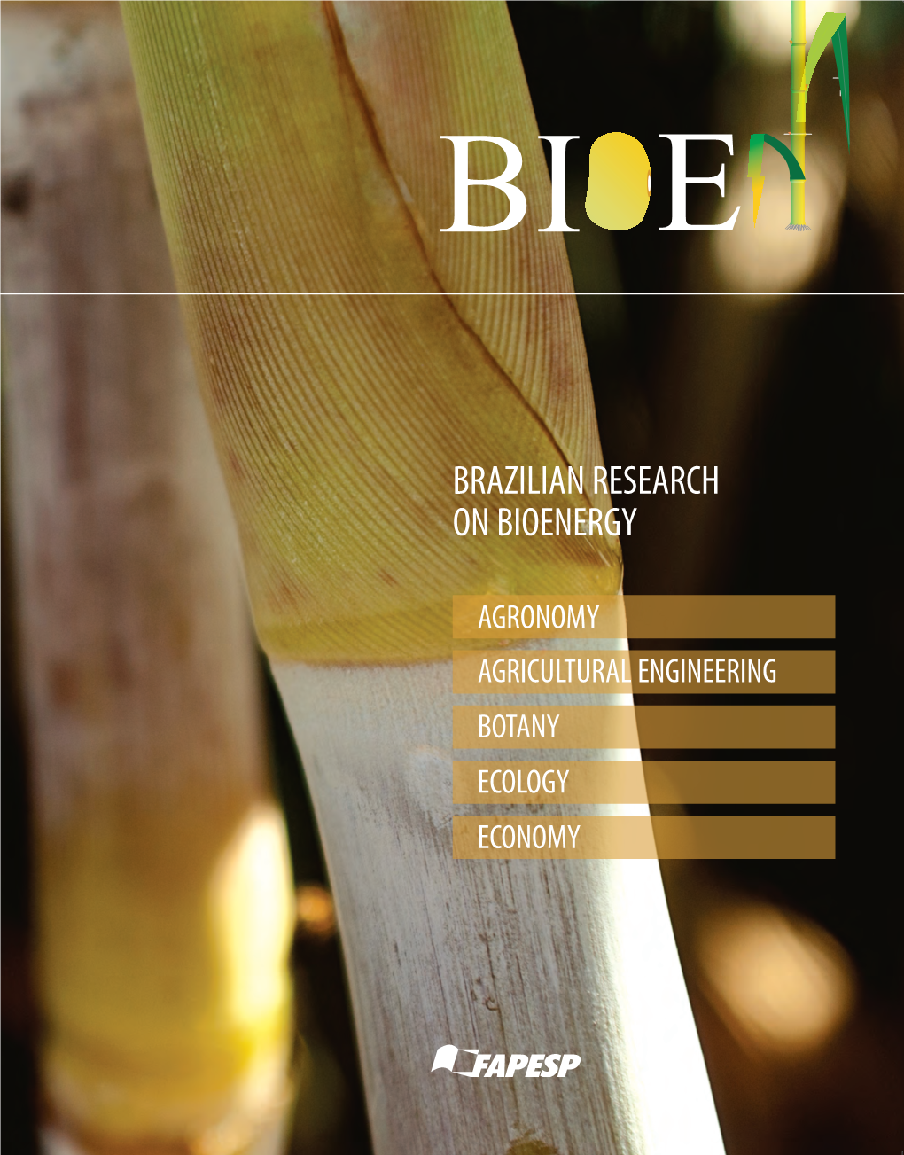 Brazilian Research on Bioenergy