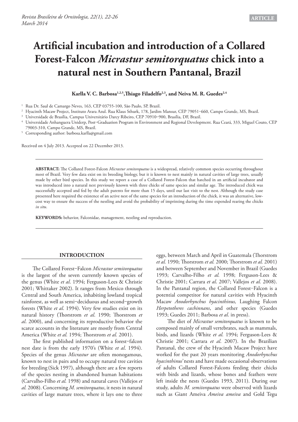 Artificial Incubation and Introduction of a Collared Forest-Falcon Micrastur
