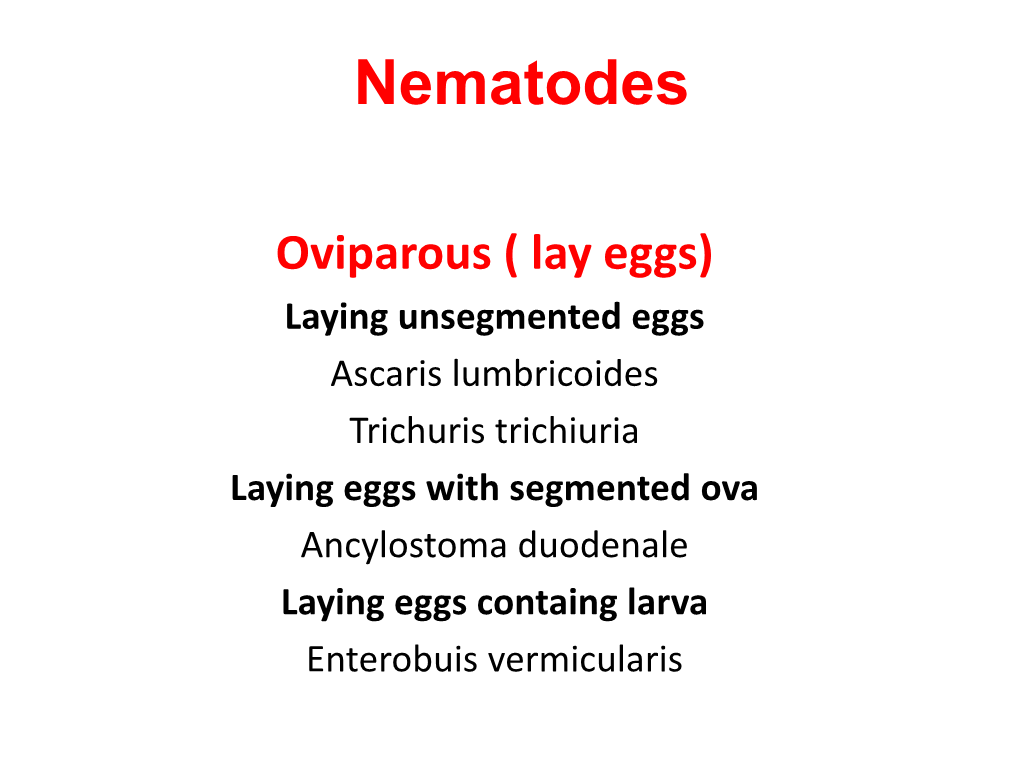 Human Filariasis Nematodes