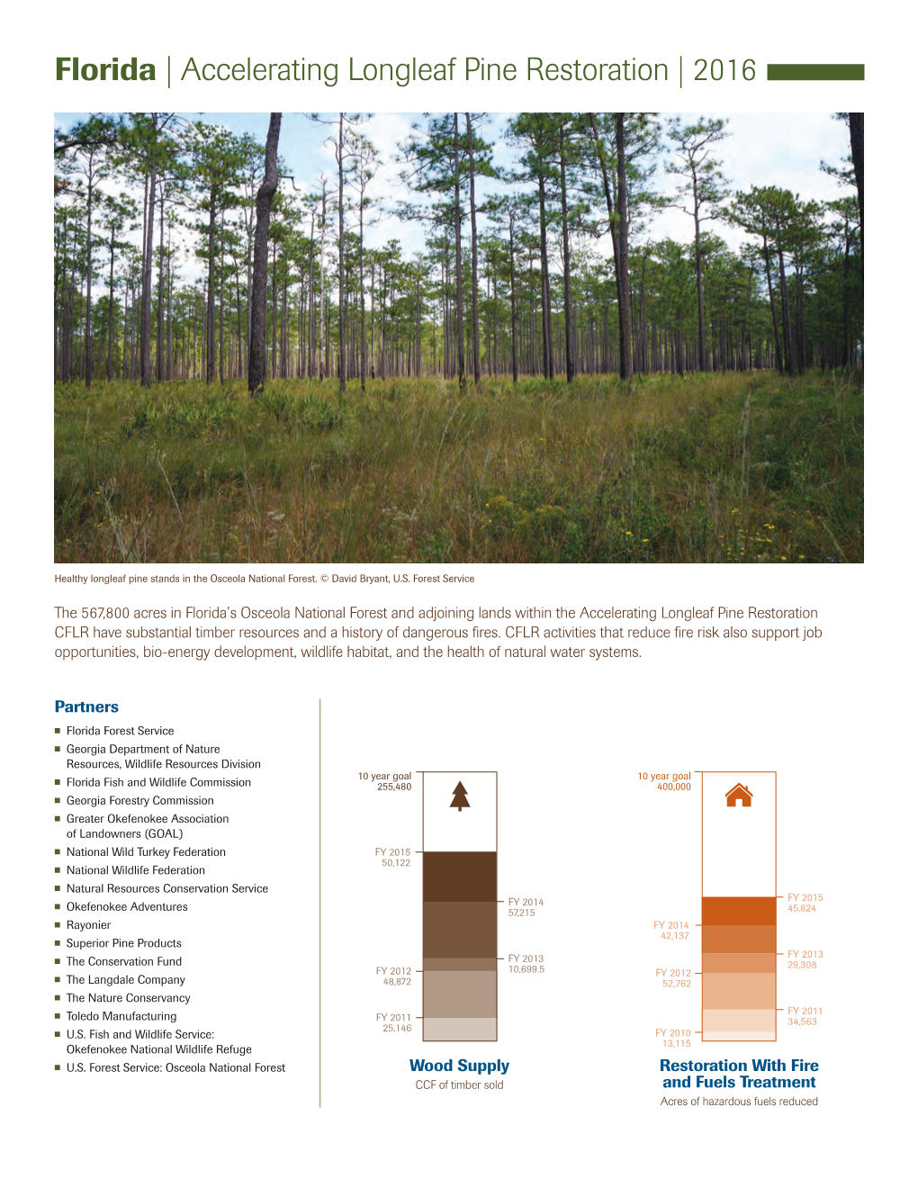 Florida | Accelerating Longleaf Pine Restoration | 2016