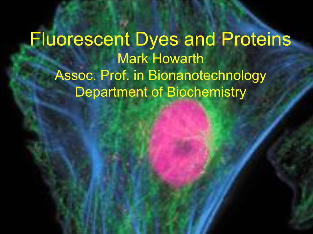 Fluorescent Dyes and Proteins Mark Howarth Assoc