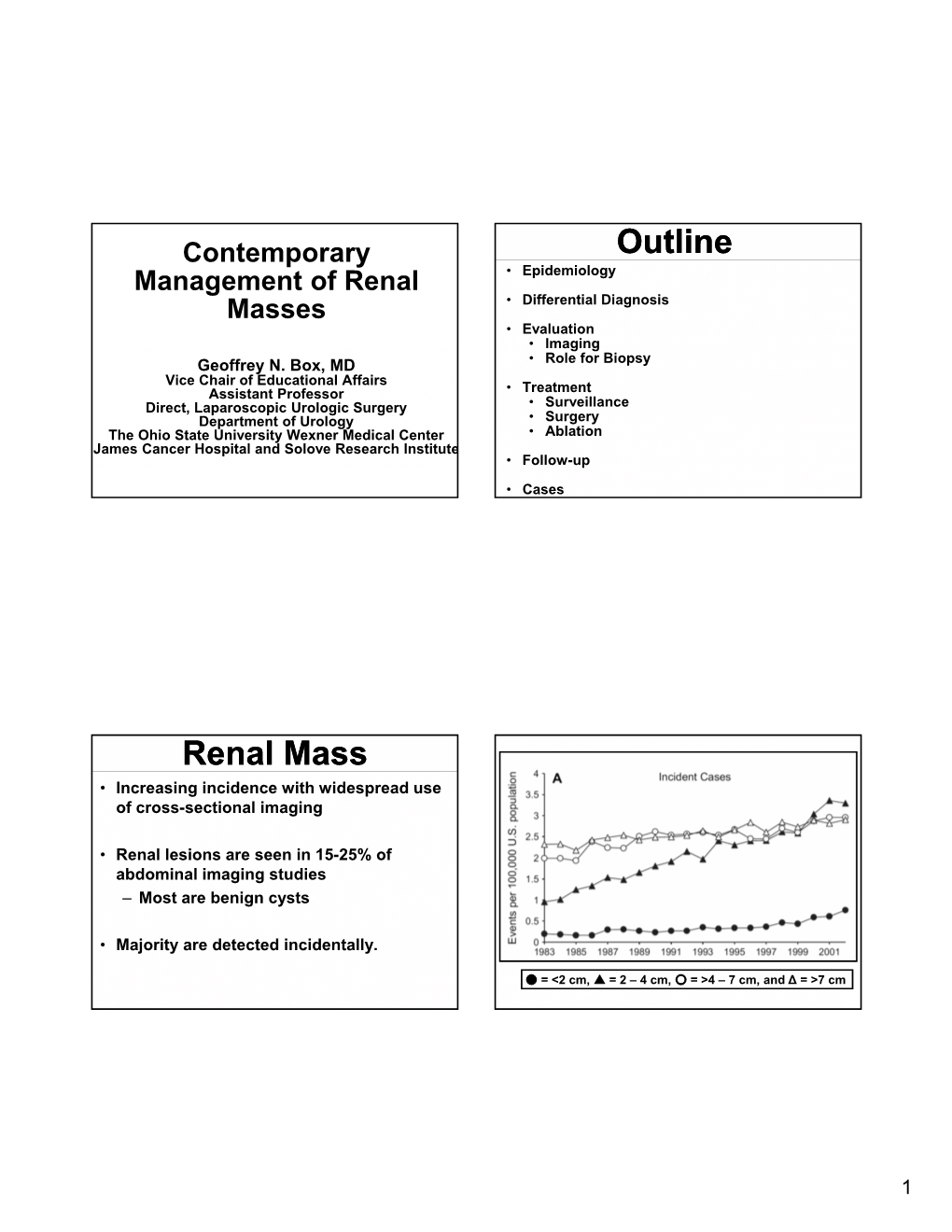 Outline Renal Mass