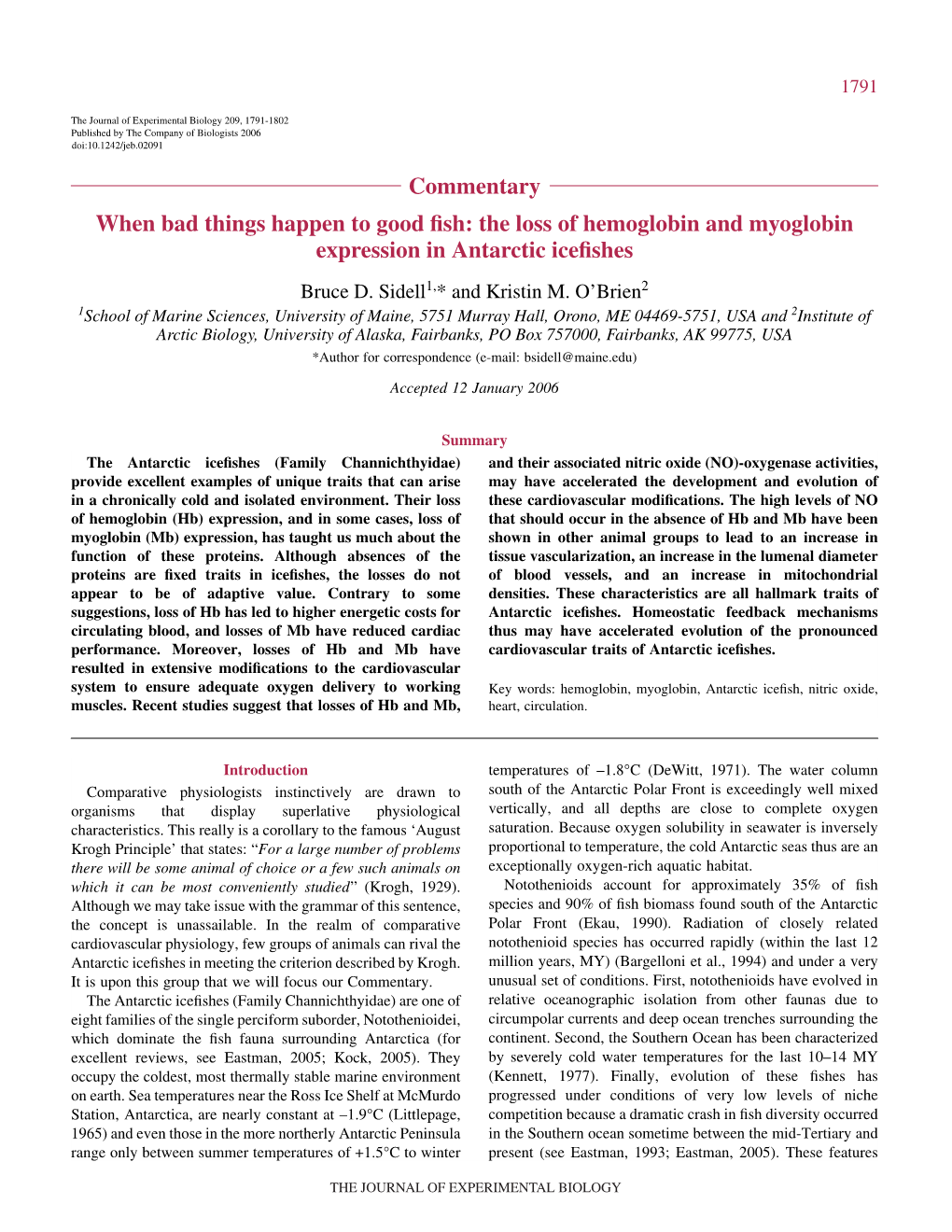 When Bad Things Happen to Good Fish: the Loss of Hemoglobin And