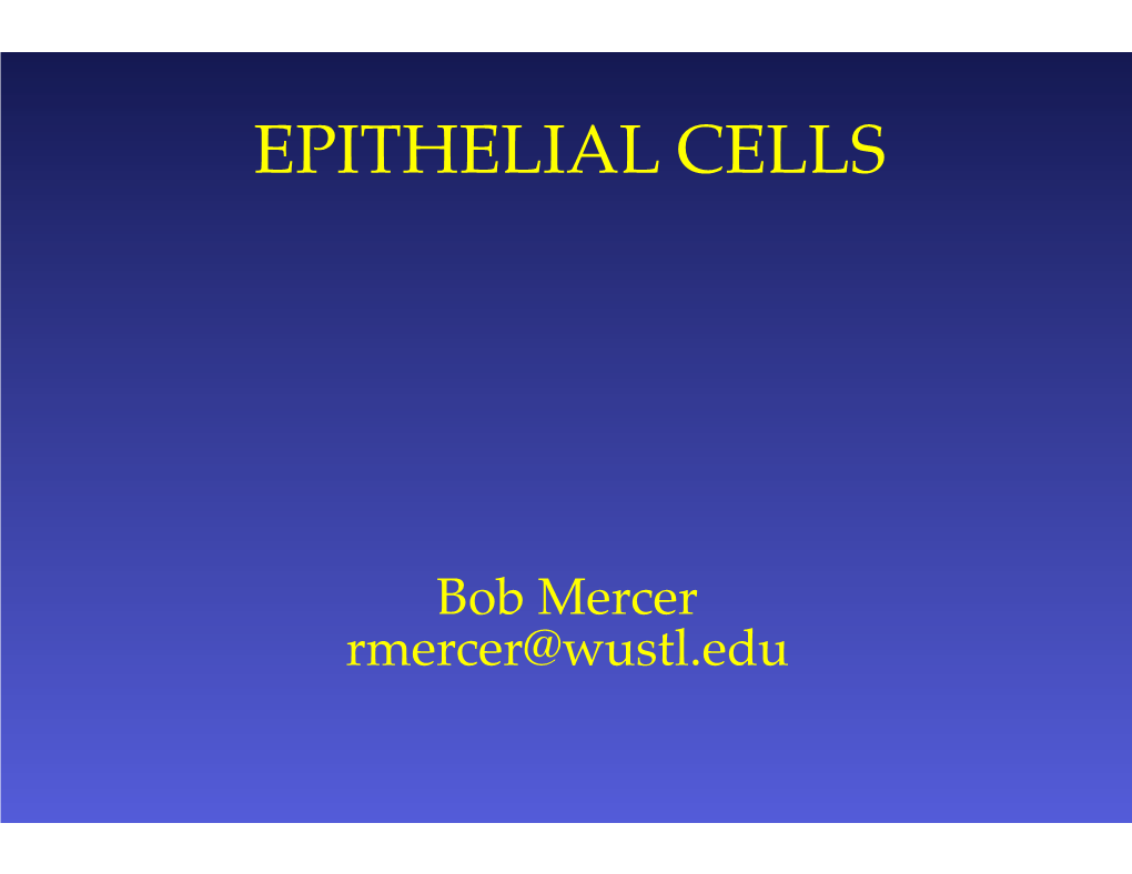 Epithelial Cells