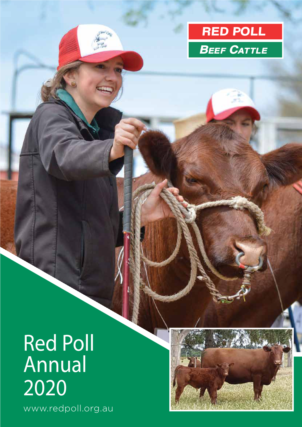 Red Poll Annual 2020