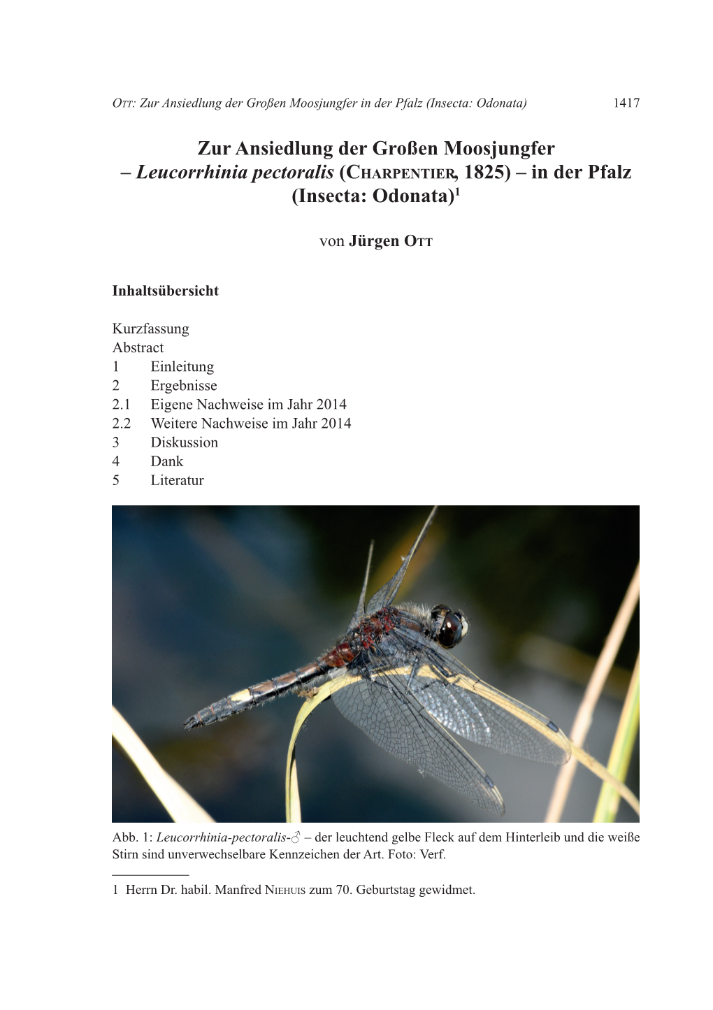 Zur Ansiedlung Der Großen Moosjungfer – Leucorrhinia Pectoralis (Charpentier, 1825) – in Der Pfalz (Insecta: Odonata)1