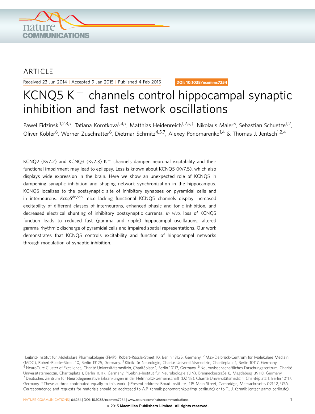 KCNQ5 K&Plus; Channels Control Hippocampal Synaptic Inhibition