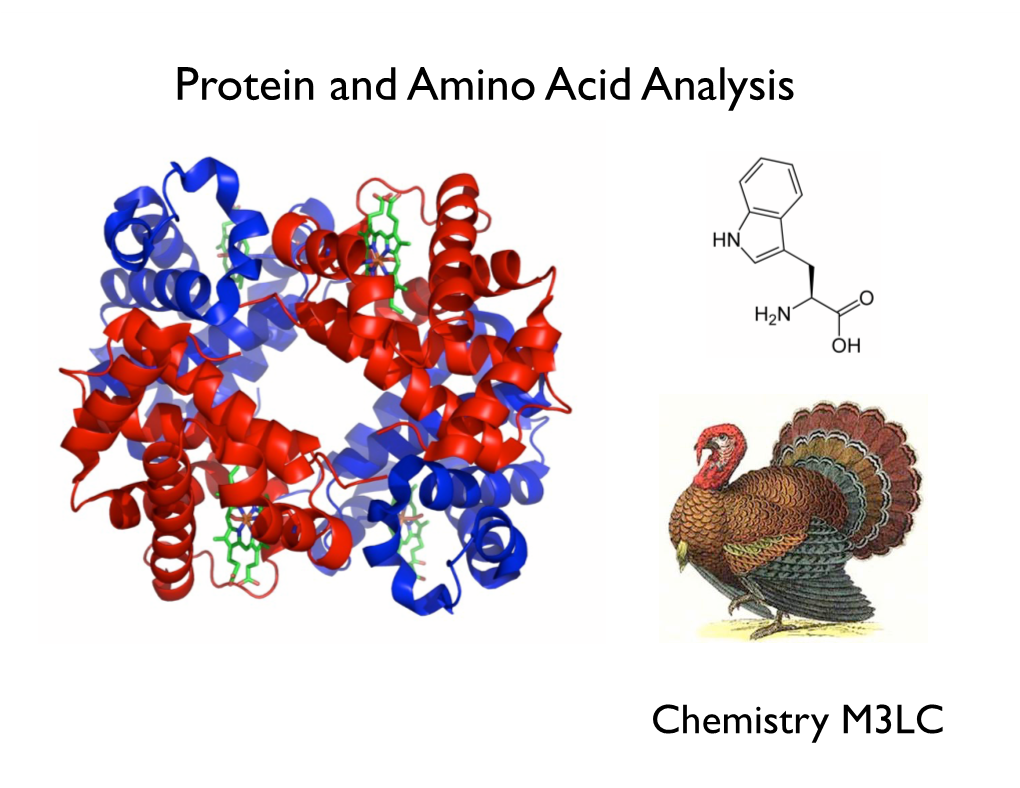 Protein and Amino Acid Analysis
