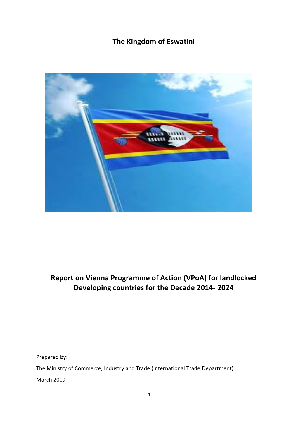 The Kingdom of Eswatini Report on Vienna Programme of Action (Vpoa