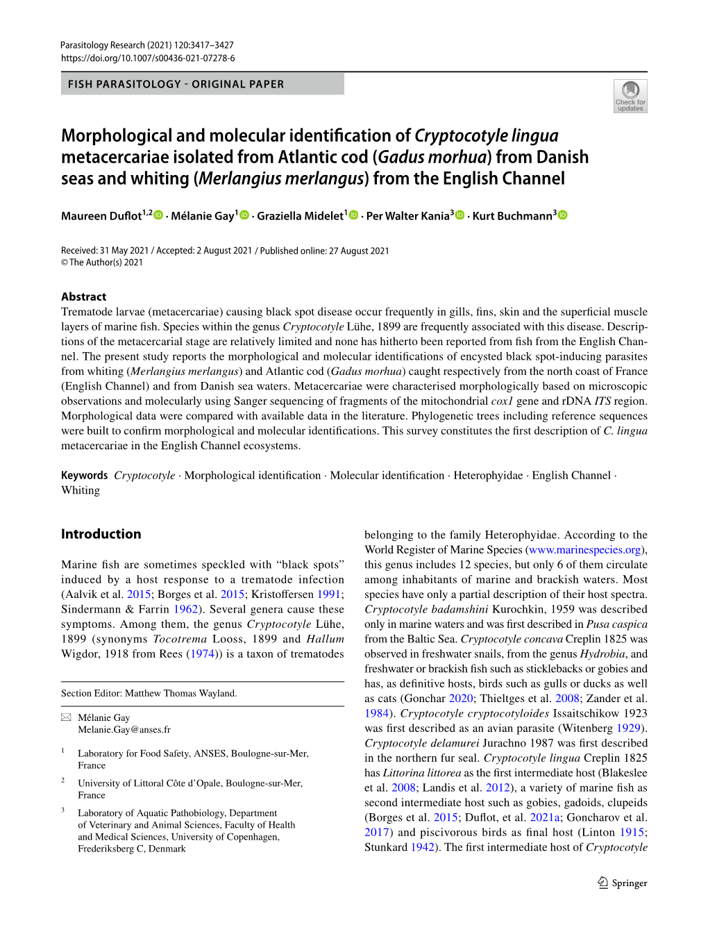 Morphological and Molecular Identification of Cryptocotyle Lingua